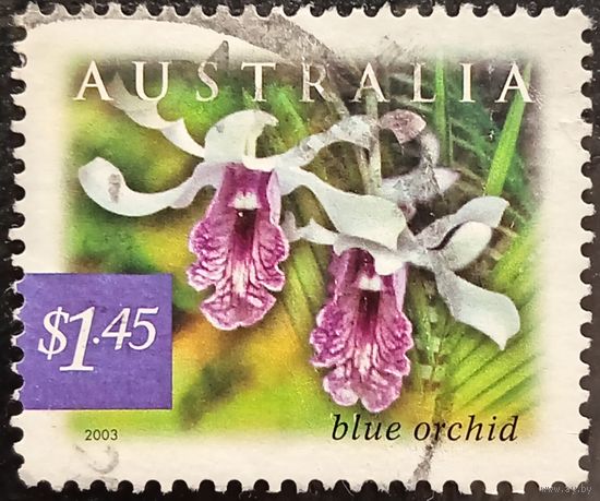 Австралия 2003. Флора. Голубая орхидея