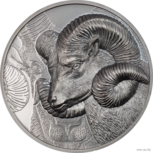RARE Монголия 1000 тугриков 2022г. "Архар". BLACK PROOF Монета в капсуле; подарочной рамке - футляре; сертификат; коробка. СЕРЕБРО 62,20гр.(2 oz).
