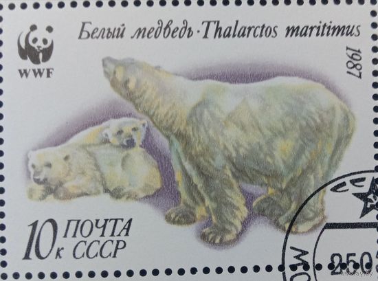 Марка СССР 1987 Белый медведь