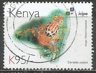 Кения. Муха пестрокрылка. 2011г. St#935.