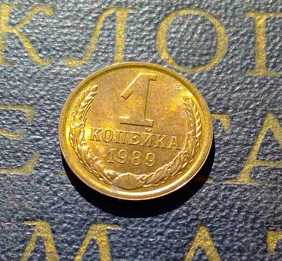1 копейка 1989 СССР #29
