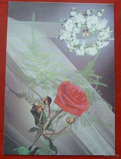 С днём свадьбы! Чистая. Двойная. 1990 года. Фото Киндровой. 1764.