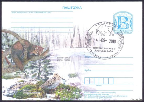 Беларусь 2010 ПК с "В" с СГ "Беловежская пуща" зубр куница фауна