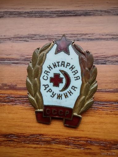 Санитарная дружина