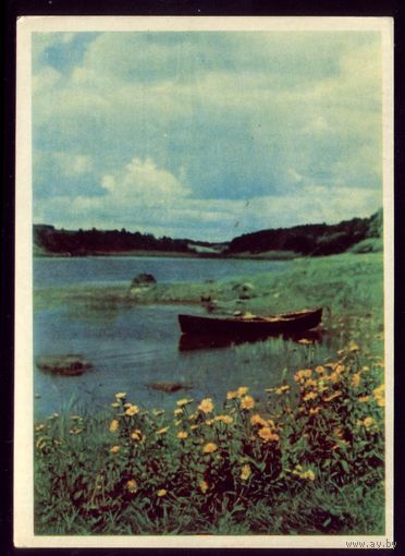 1965 год Перед дождём