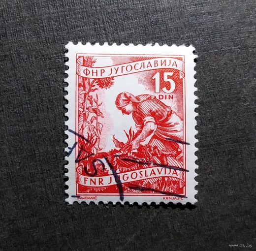 Марка Югославия 1952 год Стандартный выпуск