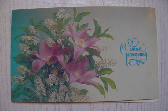 Дергилев И., С днем рождения! 1990, 1991, двойная, чистая.