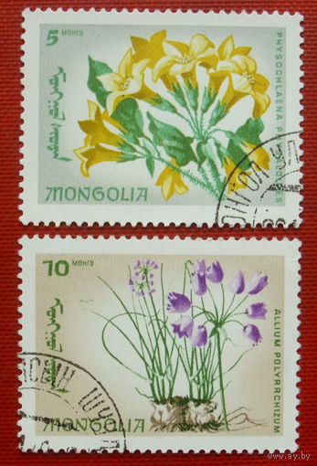 Монголия. Флора. ( 2 марки ). 2-1.