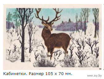Спичечные этикетка. Сувенирный набор. Зимний лес. Кабинетка. 1973 год
