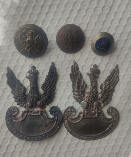 Орёл польша.