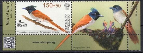 Киргизия 2025. Фауна. Птицы. Райская мухоловка. 1 марка+купон (1382)