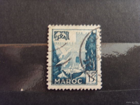 Французская колония Марокко фауна птицы