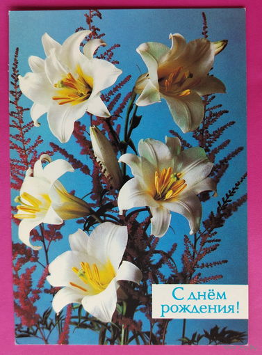 С Днём Рождения! Чистая.1988 года. Костенко. 2308.