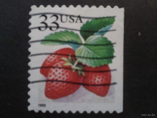 США 1999 стандарт, клубника