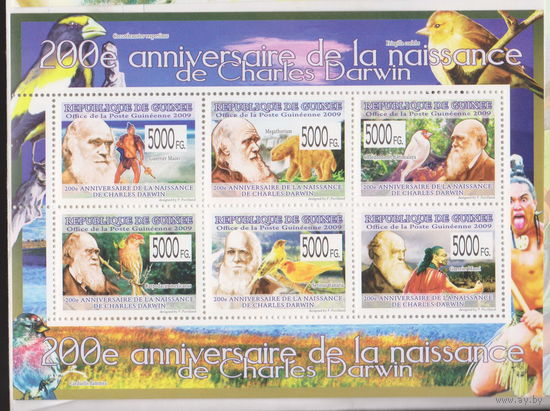 Птицы Фауна 200-летие Чарльза Дарвина Гвинея 2009 год  лот 2035 ЧИСТЫЙ БЛОК