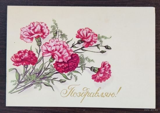 Открытка Поздравляю, 1987 г, двойная, чистая