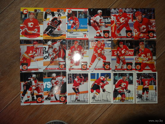 Хоккейные карточки.НХЛ. Calgary Flames-30 карт