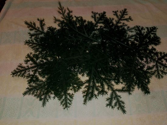 Ёлка СССР, веточки от советской пластмассовой ёлки, ёлочки ссср