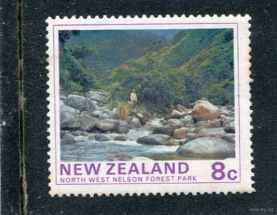 Новая Зеландия. Ландшафты. Лесные парки