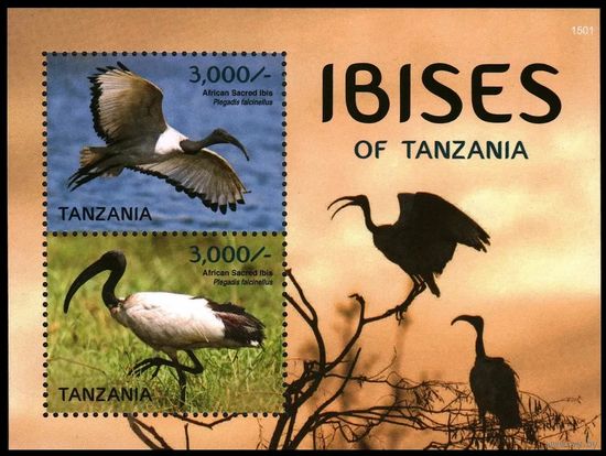 2015 Танзания 5196-5197/B685 Птицы - Ибисы 9,00 евро