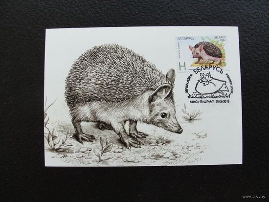 Продажа коллекции с 1 рубля! КПД Беларуси.