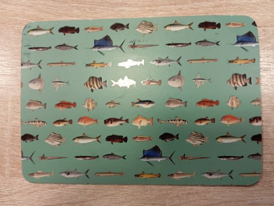 О-10. ПОДПИСАННАЯ ОТКРЫТКА. НИДЕРЛАНДЫ. РЫБЫ ОКЕАНА.