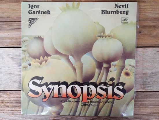 Игорь Гаршнек, Невил Блумберг - Synopsis - РЗГ, 1986 г.