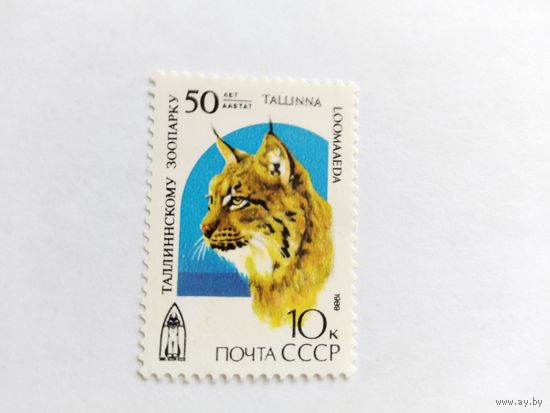 СССР  1989 рысь