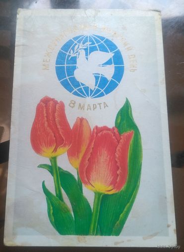 1977 год А.Соколова Международный день 8 марта