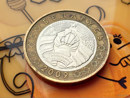Республика Беларусь (РБ). 2 рубля 2009. Брак, смещение центральной вставки. (3). Торг.