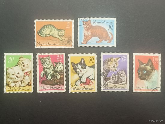 Румыния 1965. Коты