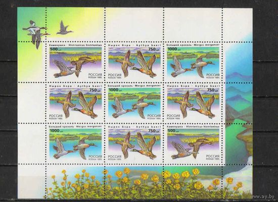 Россия РФ 1995  Утки России  Каменушка Нырок Большой крохаль #Малый лист 242-4**