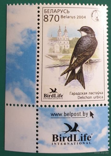 2004 Птица года в Беларуси - Городская ласточка Беларусь