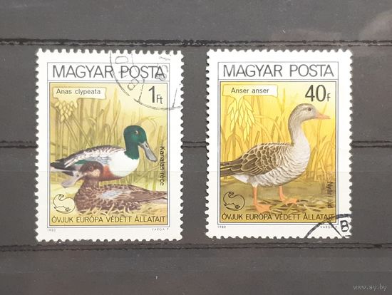 Венгрия. 1980 год. Фауна. Птицы (2 марки из серии)