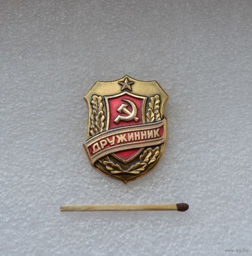 Дружинник.