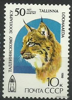 Марки СССР 1989 год. 6029. 50-лет Таллинскому зоопарку .Рысь. Серия из 1 марки.