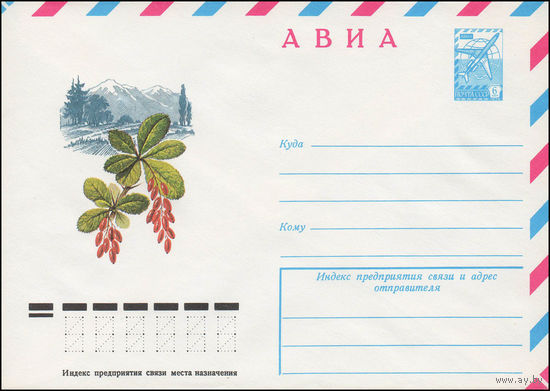 Художественный маркированный конверт СССР N 12779 (11.04.1978) АВИА  [Барбарис]