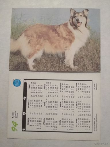Карманный календарик. Собака.1993 год