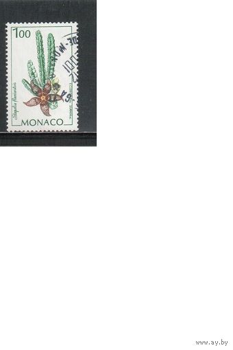 Монако-1996(Мих.2309) гаш. , Флора, Кактусы