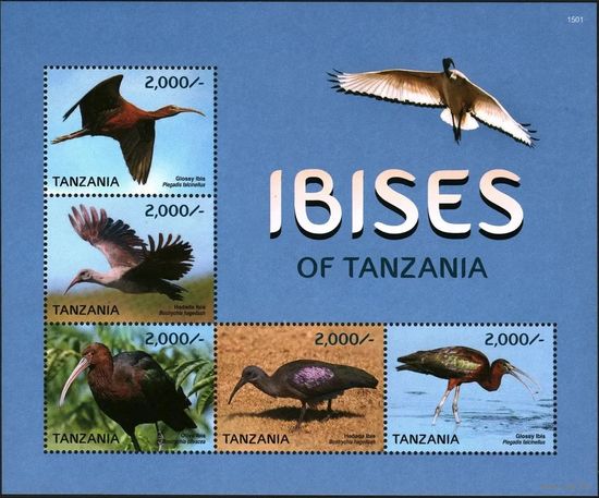 2015 Танзания 5191-5195KL Птицы - Ибисы 15,00 евро