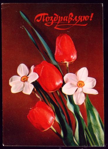 1977 год Б.Столяров Поздравляю