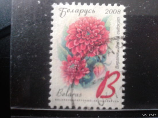 2008 Стандарт, цветы В