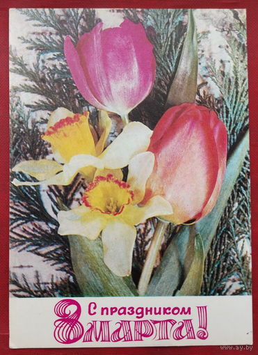8 марта! Подписанная. 1977 года. Фото Дергилева. 1528.