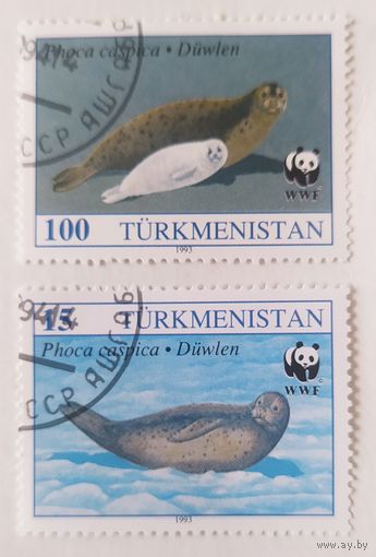 Туркменистан 1993, Тюлени