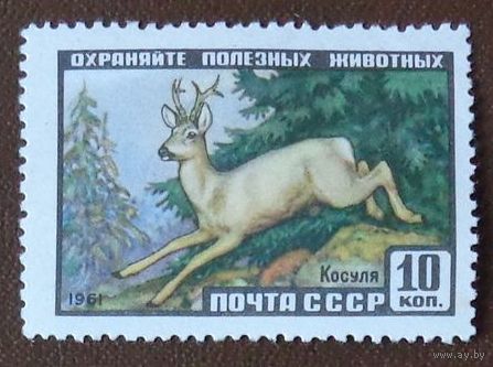 1961, январь. Фауна СССР