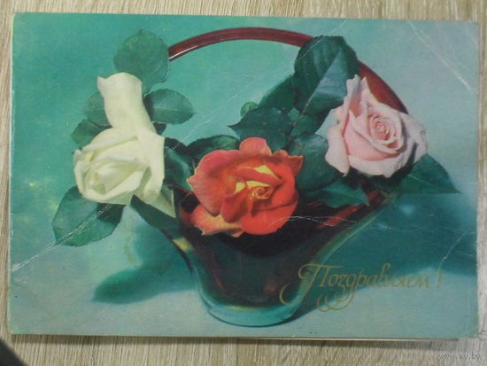 ПОДПИСАННАЯ ОТКРЫТКА СССР. "ПОЗДРАВЛЯЕМ".фото. Б. КРУЦКО. 191970 год.