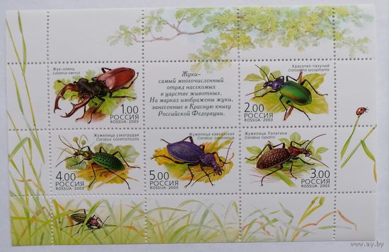 Россия 2003 868-72, фауна, насекомые, жуки. М/лист **MNH