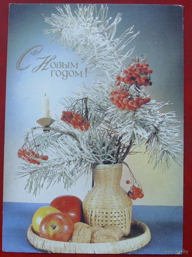 С новым годом! Чистая. 1989 года. Фото Киндровой. 1073.