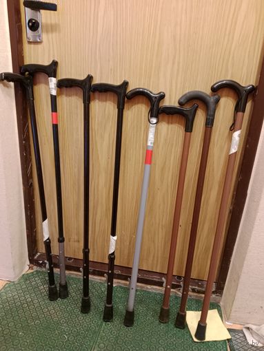 Трость, новые 7шт, б/у 1шт (предпоследняя)