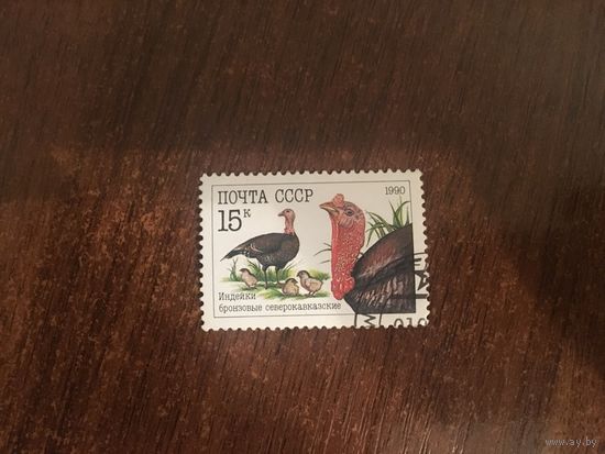 СССР 1990. Индейки бронзовые северокавказские